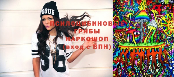 ПСИЛОЦИБИНОВЫЕ ГРИБЫ Горнозаводск