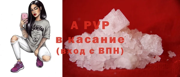 ПСИЛОЦИБИНОВЫЕ ГРИБЫ Горнозаводск
