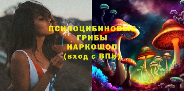 марки lsd Горняк