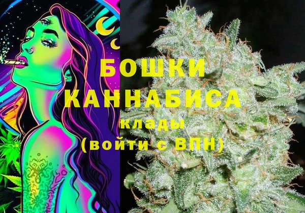 ПСИЛОЦИБИНОВЫЕ ГРИБЫ Горнозаводск