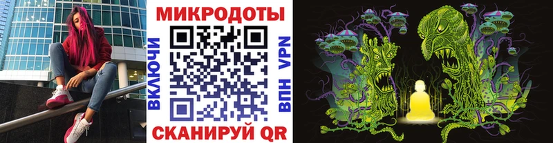 Галлюциногенные грибы мицелий площадка официальный сайт Камышин